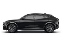 Shadow Black