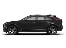 Stellar Black Metallic