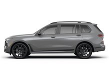 Frozen Pure Grey Metallic