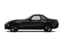 Jet Black Mica