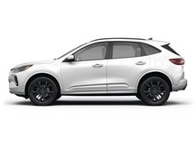 Star White Metallic Tri-Coat