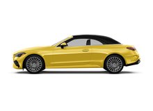 Sun Yellow
