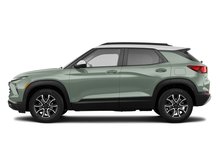 Cacti Green