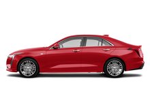 Radiant Red Tintcoat