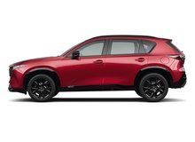 Soul Red Crystal Metallic