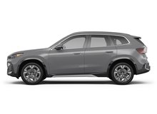 Frozen Pure Grey Metallic
