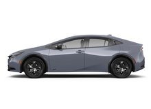 Guardian Gray