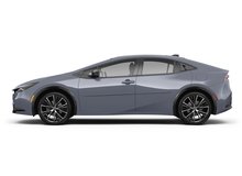 Guardian Gray
