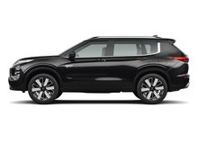 Labrador Black Pearl