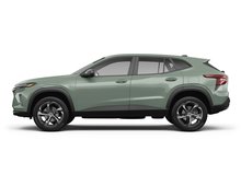 Cacti Green