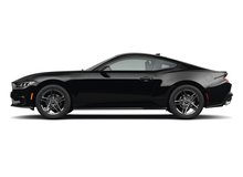 Shadow Black