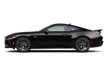 Shadow Black