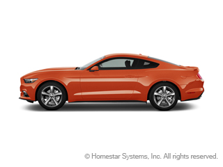 Competition Orange